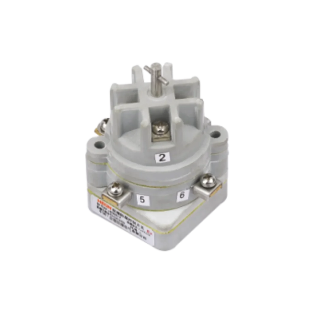 Helon 8008/2-II Control Switch Explosion Proof