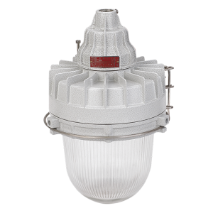 Helon BAD83 Pendant Light Explosion Proof