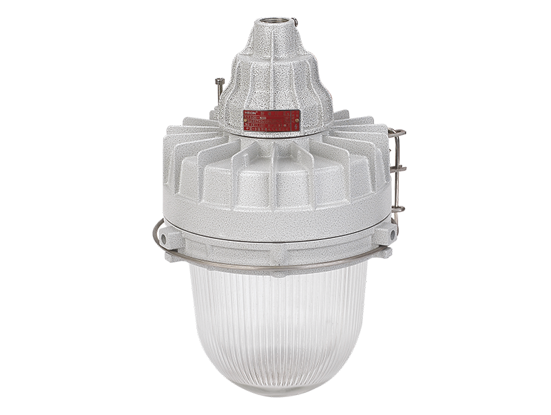 Helon BAD83 Pendant Light Explosion Proof